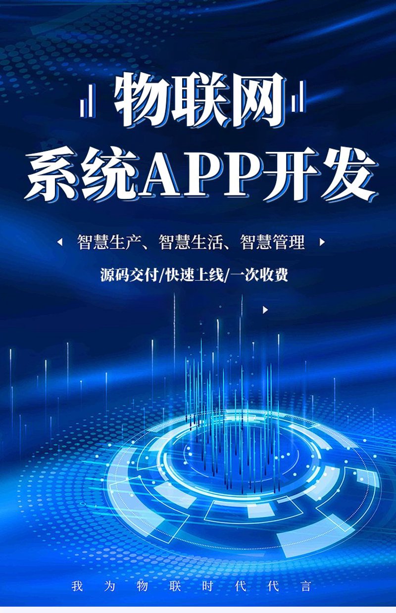 软件开发行业在上海:创新与挑战并存